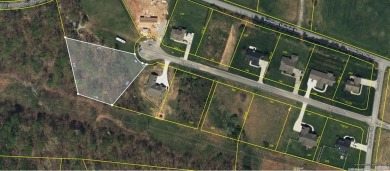PRICE REDUCTION: End of Summer Sale, 30 days - 30 days to close! on White Plains Golf Course in Tennessee - for sale on GolfHomes.com, golf home, golf lot