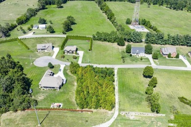 PRICE REDUCTION: End of Summer Sale, 30 days - 30 days to close! on White Plains Golf Course in Tennessee - for sale on GolfHomes.com, golf home, golf lot