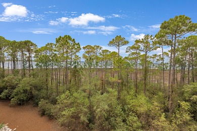Experience breathtaking western views of the Choctawhatchee Bay on Sandestin Golf and Beach Resort - Raven in Florida - for sale on GolfHomes.com, golf home, golf lot