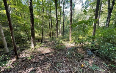 BEAUTIFULLY WOODED LOT IN UPSCALE SUBDIVISION IN THE MOUNTAINS on Mountain Harbour Golf Club in North Carolina - for sale on GolfHomes.com, golf home, golf lot