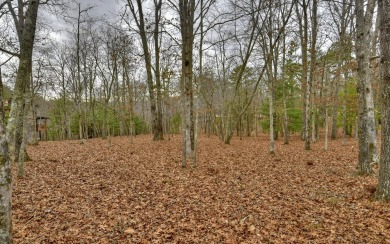 Toccoa River Access in Premier Gated Community just minutes from on Old Toccoa Farm Golf Club in Georgia - for sale on GolfHomes.com, golf home, golf lot