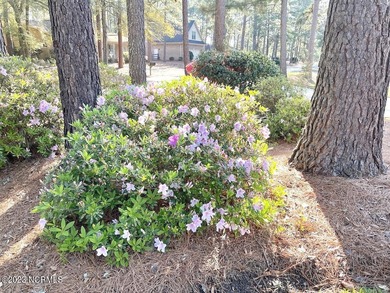 Looking for a VERY successful Short Term Rental with a rental on Pinehurst Resort and Country Club in North Carolina - for sale on GolfHomes.com, golf home, golf lot