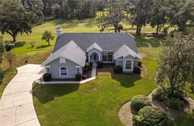 Nestled in the highly sought-after neighborhood of Golden Hills on Golden Hills Golf and Turf Club in Florida - for sale on GolfHomes.com, golf home, golf lot