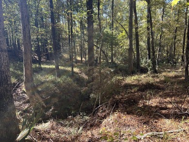 Beautiful sloping residential lot in the Southwind section of on Monticello Golf Club At Savannah Lakes in South Carolina - for sale on GolfHomes.com, golf home, golf lot