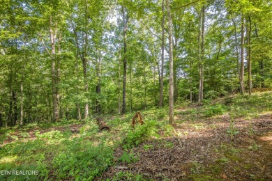 Discover this well maintained 3BR/2BA ranch home with an open on Toqua Golf Course - Loudon County in Tennessee - for sale on GolfHomes.com, golf home, golf lot