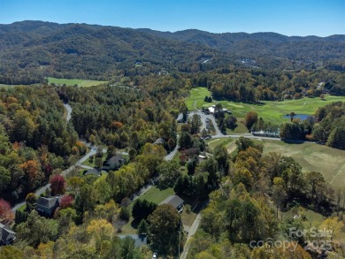 Meticulously cared-for home mixes elegance w/ comfort in this on Reems Creek Golf Club in North Carolina - for sale on GolfHomes.com, golf home, golf lot