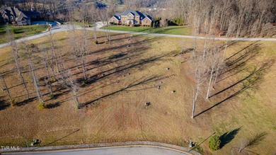 Welcome to Ridgetop Trail - Your Mountain Oasis Awaits - on Crocketts Ridge Golf Club in Tennessee - for sale on GolfHomes.com, golf home, golf lot