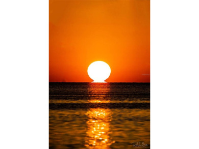 SPECTACULAR SUNSETS, GULF BREEZES, DOLPHINS AND ROSETTA on The Dunedin Country Club in Florida - for sale on GolfHomes.com, golf home, golf lot