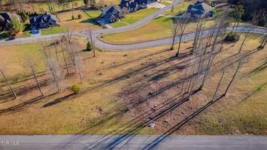 Welcome to Ridgetop Trail - Your Mountain Oasis Awaits - on Crocketts Ridge Golf Club in Tennessee - for sale on GolfHomes.com, golf home, golf lot