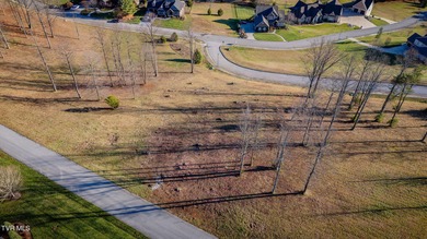 Welcome to Ridgetop Trail - Your Mountain Oasis Awaits - on Crocketts Ridge Golf Club in Tennessee - for sale on GolfHomes.com, golf home, golf lot