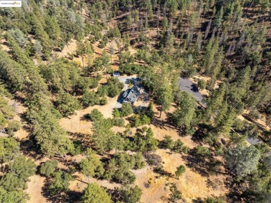 Rare location! Beautiful mid-century modern A-Frame home tucked on Pine Mountain Lake Country Club in California - for sale on GolfHomes.com, golf home, golf lot