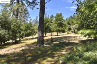 Rare location! Beautiful mid-century modern A-Frame home tucked on Pine Mountain Lake Country Club in California - for sale on GolfHomes.com, golf home, golf lot