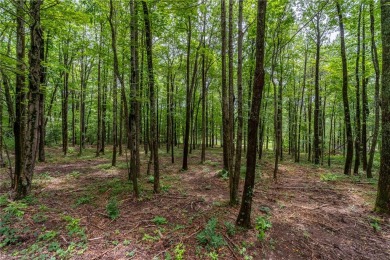 Beautiful, gently sloping homesite with stunning views on The Cliffs at Glassy Golf and Country Club in South Carolina - for sale on GolfHomes.com, golf home, golf lot