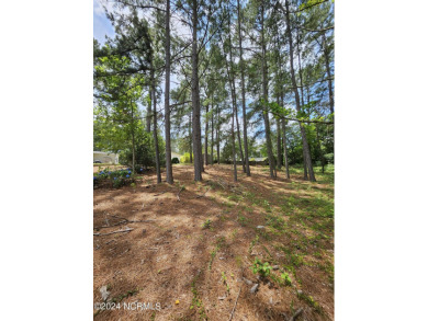 Welcome to 111 Ryder Cup Blvd! This charming 3-bedroom, 2-bath on Bluff Golf Links in North Carolina - for sale on GolfHomes.com, golf home, golf lot