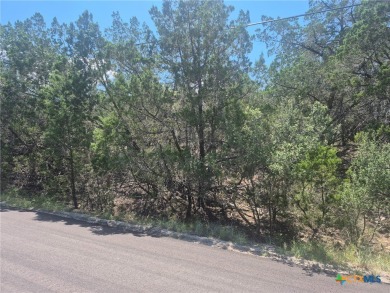 29 acres located within 1.9 miles (6 minutes) of Cody Park and on Lago Vista Golf Club in Texas - for sale on GolfHomes.com, golf home, golf lot