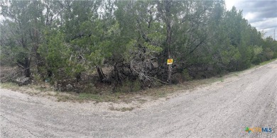 29 acres located within 1.9 miles (6 minutes) of Cody Park and on Lago Vista Golf Club in Texas - for sale on GolfHomes.com, golf home, golf lot