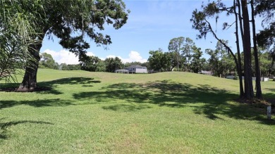 Welcome to Killarney Court, one of the best little cul-de-sacs on The Eagles Golf Course and Club in Florida - for sale on GolfHomes.com, golf home, golf lot