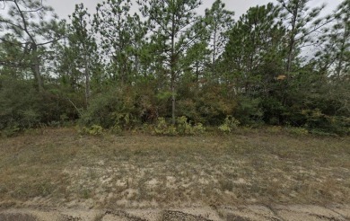 Double Lot Opportunity in Sunny Hills! This spacious double lot on Sunny Hills Golf and Country Club in Florida - for sale on GolfHomes.com, golf home, golf lot