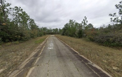 Double Lot Opportunity in Sunny Hills! This spacious double lot on Sunny Hills Golf and Country Club in Florida - for sale on GolfHomes.com, golf home, golf lot
