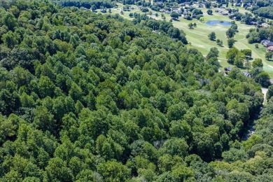 PRICE REDUCTION: End of Summer Sale, 30 days - 30 days to close! on White Plains Golf Course in Tennessee - for sale on GolfHomes.com, golf home, golf lot