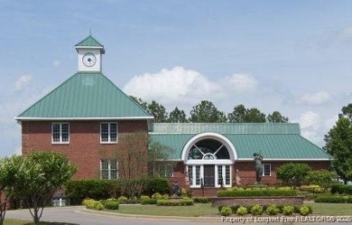 $5000 USE AS YOU CHOOSE ALLOWANCE!!!!! Stunning low maintenance on Anderson Creek Golf Club in North Carolina - for sale on GolfHomes.com, golf home, golf lot
