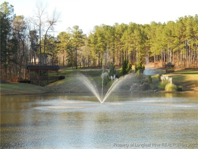$5000 USE AS YOU CHOOSE ALLOWANCE!!!!! Stunning low maintenance on Anderson Creek Golf Club in North Carolina - for sale on GolfHomes.com, golf home, golf lot