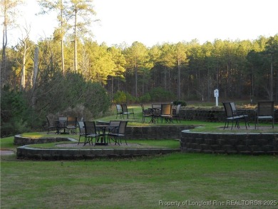$5000 USE AS YOU CHOOSE ALLOWANCE!!!!! Stunning low maintenance on Anderson Creek Golf Club in North Carolina - for sale on GolfHomes.com, golf home, golf lot