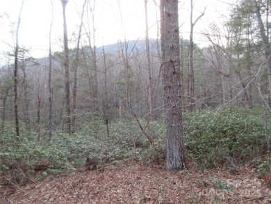 Easy build lot located within Rumbling Bald Resort. No HOA fees on Rumbling Bald Resort on Lake Lure in North Carolina - for sale on GolfHomes.com, golf home, golf lot