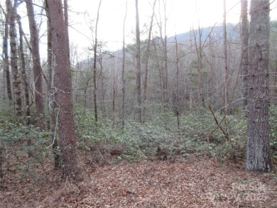 Easy build lot located within Rumbling Bald Resort. No HOA fees on Rumbling Bald Resort on Lake Lure in North Carolina - for sale on GolfHomes.com, golf home, golf lot