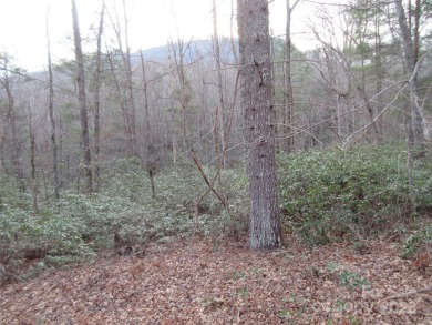 Easy build lot located within Rumbling Bald Resort. No HOA fees on Rumbling Bald Resort on Lake Lure in North Carolina - for sale on GolfHomes.com, golf home, golf lot