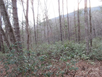 Easy build lot located within Rumbling Bald Resort. No HOA fees on Rumbling Bald Resort on Lake Lure in North Carolina - for sale on GolfHomes.com, golf home, golf lot
