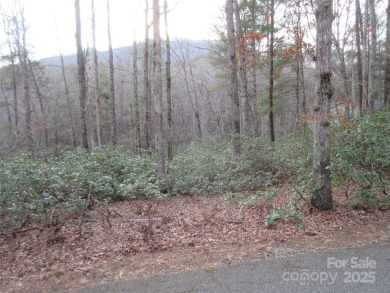 Easy build lot located within Rumbling Bald Resort. No HOA fees on Rumbling Bald Resort on Lake Lure in North Carolina - for sale on GolfHomes.com, golf home, golf lot