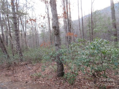 Easy build lot located within Rumbling Bald Resort. No HOA fees on Rumbling Bald Resort on Lake Lure in North Carolina - for sale on GolfHomes.com, golf home, golf lot