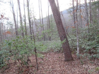 Easy build lot located within Rumbling Bald Resort. No HOA fees on Rumbling Bald Resort on Lake Lure in North Carolina - for sale on GolfHomes.com, golf home, golf lot