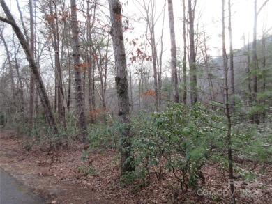Easy build lot located within Rumbling Bald Resort. No HOA fees on Rumbling Bald Resort on Lake Lure in North Carolina - for sale on GolfHomes.com, golf home, golf lot
