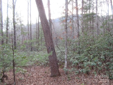 Easy build lot located within Rumbling Bald Resort. No HOA fees on Rumbling Bald Resort on Lake Lure in North Carolina - for sale on GolfHomes.com, golf home, golf lot