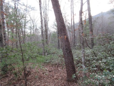 Easy build lot located within Rumbling Bald Resort. No HOA fees on Rumbling Bald Resort on Lake Lure in North Carolina - for sale on GolfHomes.com, golf home, golf lot
