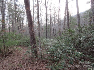 Easy build lot located within Rumbling Bald Resort. No HOA fees on Rumbling Bald Resort on Lake Lure in North Carolina - for sale on GolfHomes.com, golf home, golf lot