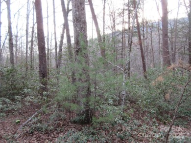 Easy build lot located within Rumbling Bald Resort. No HOA fees on Rumbling Bald Resort on Lake Lure in North Carolina - for sale on GolfHomes.com, golf home, golf lot