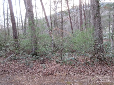 Easy build lot located within Rumbling Bald Resort. No HOA fees on Rumbling Bald Resort on Lake Lure in North Carolina - for sale on GolfHomes.com, golf home, golf lot