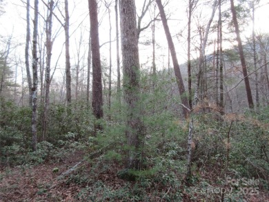 Easy build lot located within Rumbling Bald Resort. No HOA fees on Rumbling Bald Resort on Lake Lure in North Carolina - for sale on GolfHomes.com, golf home, golf lot