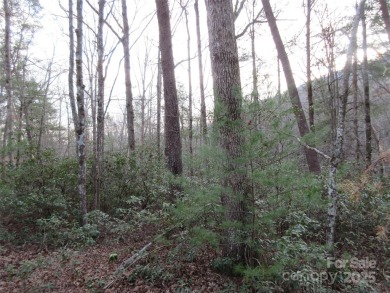 Easy build lot located within Rumbling Bald Resort. No HOA fees on Rumbling Bald Resort on Lake Lure in North Carolina - for sale on GolfHomes.com, golf home, golf lot