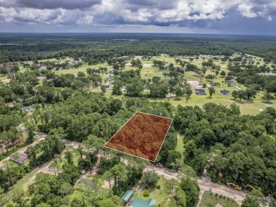 BEAUTFUL WOODED LOT ON THE FAIRWAY OF THE SANDS OF WAKULLA on Wildwood Country Club in Florida - for sale on GolfHomes.com, golf home, golf lot