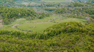 Possibilities are endless...Here's your opportunity to own over on  in West Virginia - for sale on GolfHomes.com, golf home, golf lot