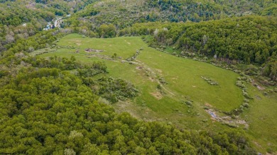 Possibilities are endless...Here's your opportunity to own over on  in West Virginia - for sale on GolfHomes.com, golf home, golf lot