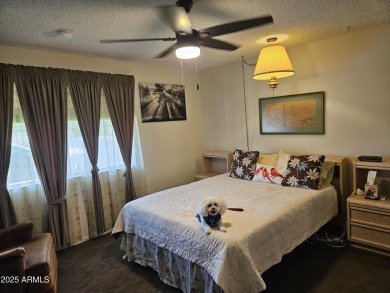 Discover carefree living in this partially furnished ''300 on Sunland Village Golf Club in Arizona - for sale on GolfHomes.com, golf home, golf lot