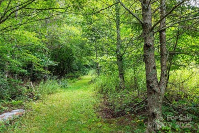 Discover the possibilities with this 2.08-acre undeveloped on Mt. Mitchell Golf Course in North Carolina - for sale on GolfHomes.com, golf home, golf lot