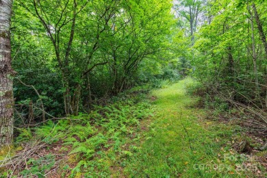 Discover the possibilities with this 2.08-acre undeveloped on Mt. Mitchell Golf Course in North Carolina - for sale on GolfHomes.com, golf home, golf lot