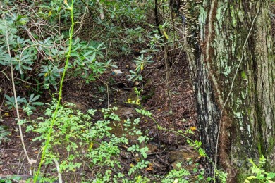 Discover the possibilities with this 2.08-acre undeveloped on Mt. Mitchell Golf Course in North Carolina - for sale on GolfHomes.com, golf home, golf lot