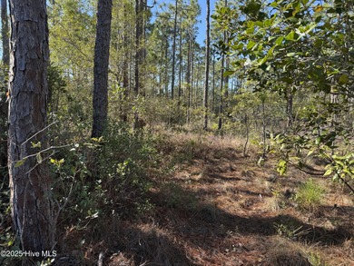 Discover the perfect opportunity to build your dream home or on The Lakes Country Club in North Carolina - for sale on GolfHomes.com, golf home, golf lot